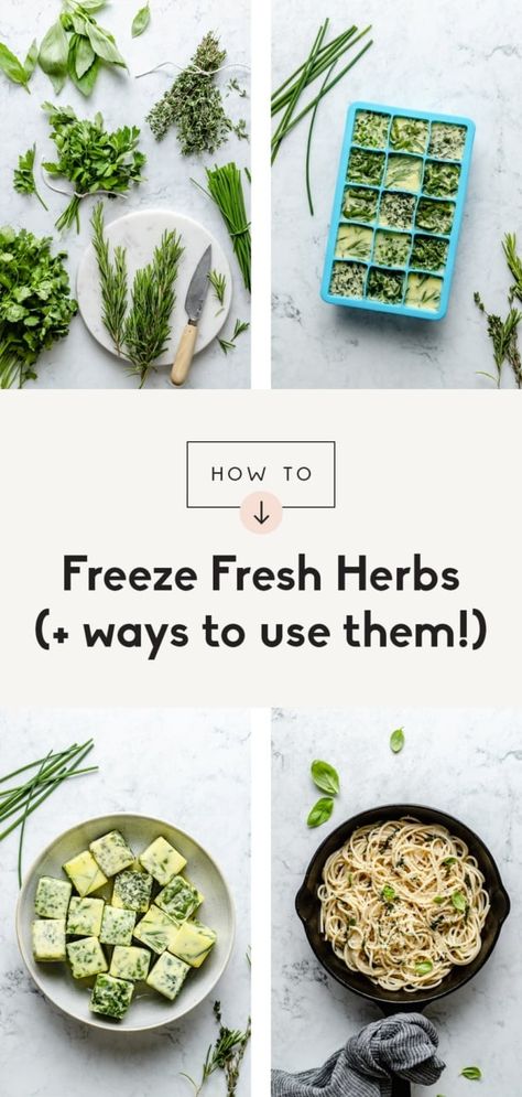 How To Freeze Herbs, Freeze Fresh Herbs, Freeze Herbs, Freezing Food Guide, Freezing Fresh Herbs, Beef Appetizers, Freezing Herbs, Soup Chicken, Ambitious Kitchen