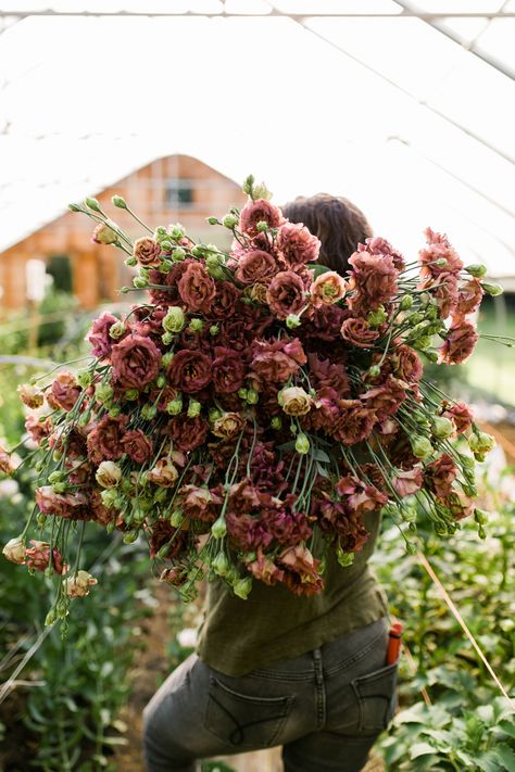 Cabin Farm, Lisianthus Flowers, Glamping Cabin, Cut Flower Farm, Bulk Wedding Flowers, Flower Business, Flower Farmer, Cut Flower Garden, Tiny Cabin