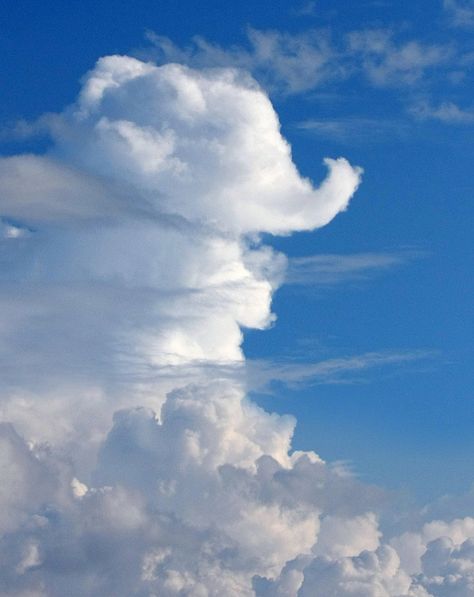 Seeing Pictures In Clouds | Recent Photos The Commons Getty Collection Galleries World Map App ... Angel Clouds, Cloud Art, Cloud Shapes, Hakuna Matata, What Do You See, Storm Clouds, Sky And Clouds, Natural Phenomena, Beautiful Sky