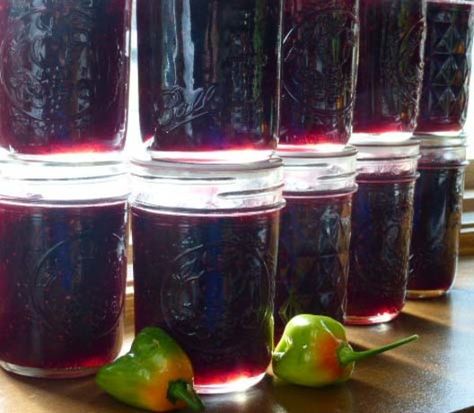 Very Berry Habanaro Jam Cherry Habanero Jam, Huckleberry Jalapeno Jam, Mixed Berry Jalapeno Jam, Blackberry Habanero Jam, Hot Jelly Recipe, Jalapeno Jam Recipe, Keto Jam, Habanero Jelly, Huckleberry Jam