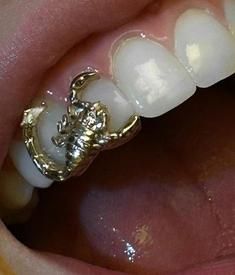 Dental Jewelry, Dope Jewelry Accessories, Grills Teeth, Teeth Jewelry, Tooth Gem, Gold Teeth, Jewelry Accessories Ideas, Dope Jewelry, Jewelry Lookbook