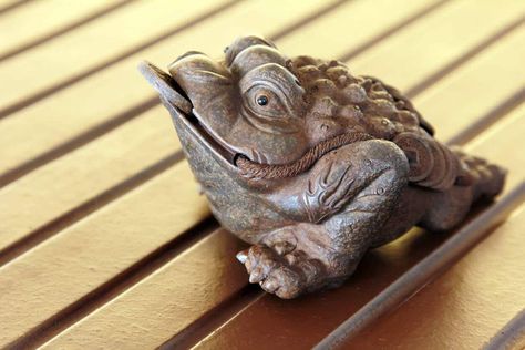 What is a Tea Pet? Learn about this New Obsession! Golden Toad, Different Types Of Tea, Chinese Tea Ceremony, Tea Pet, Clay Teapots, New Obsession, Steeped Tea, Small Figurines, Types Of Tea