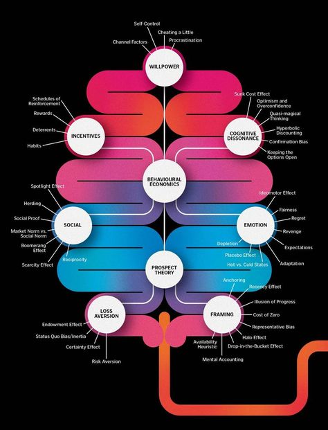 brain-big Economics Lessons, Behavioral Economics, Cognitive Bias, Behavior Analysis, Behavioral Science, International News, Neuroscience, Design Thinking, Your Brain