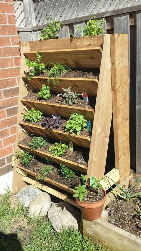 Herb Garden Setup, Vegetable Garden Boxes, Herb Garden Boxes, Raised Herb Garden, Kebun Herbal, Plantarea Legumelor, Taman Diy, Vertical Vegetable Gardens, Herb Garden Planter