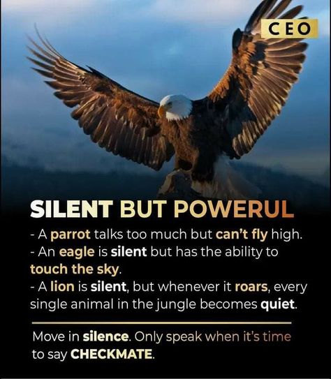 Eagle Attitude Quotes, Smart Quotes Wisdom, Eagle Quotes, Eagles Quotes, Mehendi Bridal, Gentlemen Fashion, Lone Wolf Quotes, Ceo Mindset, Rudra Shiva