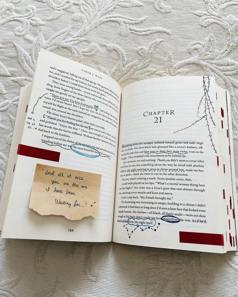 Book Annotations Ideas, Annotating Acotar, Acomaf Annotations, Pretty Annotations, Acotar Annotations, Book Annotation Ideas, Preppy Books, Annotation Tips, Books Annotation