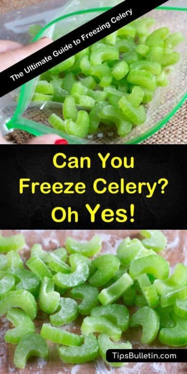 Freeze Sauces, Freezing Celery, Can You Freeze Celery, Freeze Celery, How To Freeze Celery, Freezing Food Guide, Freezing Vegetables, Soups Stews, Frozen Veggies