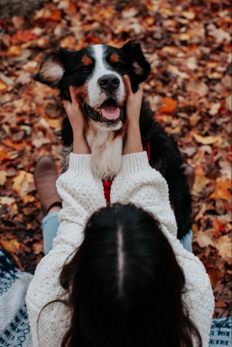 Mom And Dog Photoshoot Fall Ideas, Fall Dog And Owner Photoshoot, Fall Pictures With Dog Photo Ideas, Bernese Mountain Dog Fall, Girl Photoshooting With Dog, Dog Mom Christmas Pictures, Dog Pumpkin Photoshoot, Pumpkin Patch Dog Photoshoot, Photo Shoot Ideas With Dogs