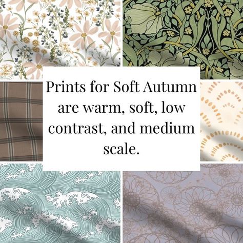 SOFT AUTUMN 🍁🌞 Fun facts: 🍁Soft autumn is a neutral season leaning warm 🍁One of the more common seasons at 9% of the North American population 🍁The lowest contrast warm season 🍁A personal favorite to diagnose 😬 Want to learn more about Soft Autumn (or any season)? Comment “EXPLORE” to get the link. #coloranalysis #coloranalyst #coloranalysisautumn #softautumn #softautumnpalette #softautumncolors #softseason #colouranalysis #colouranalysisworks #colouranalysisonline #seasonalcoloranalysis Soft Autumn Pantone, Soft Autumn Street Style, Soft Autumn Korean, Soft Autumn Examples, Soft Autumn Color Season, Soft Autumn Clothes, Soft Autumn Aesthetic, Muted Autumn, Soft Autumn Palette