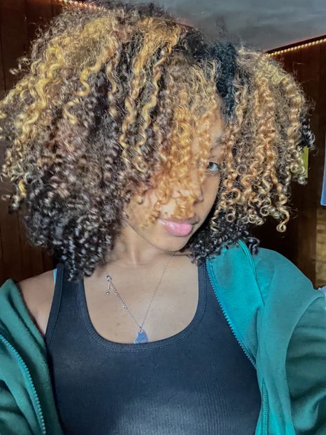 curly hair with blonde highlights Honey Blonde Highlights On Brown Hair 4c, Blonde Highlights Black Hair Curly, Blonde Highlights 4c Natural Hair, Highlights Type 4 Hair, Blonde Highlights 4c Hair, 4c Highlights Natural Hair, 4c Highlights, Highlights 4c Hair, Highlights On 4c Hair