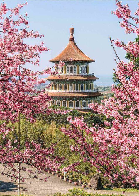 Wuji Tianyuan Temple: Taipei's Best Cherry Blossom Spot | Hoponworld Asia Beautiful Places, Taiwan Cherry Blossom, Manifest Painting, Taipei Taiwan Aesthetic, Taipei Aesthetic, Cherry Blossom China, China Blossom, China Places, China Architecture