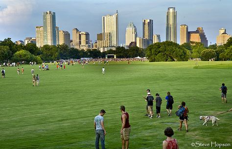 Austin Skyline by Steve Hopson, via Flickr Texas Attractions, Nova Orleans, Austin Skyline, Zilker Park, Texas Living, Texas Places, Austin City Limits, Be Active, Concert Series