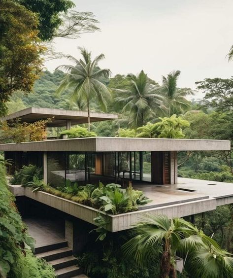 Brazil Houses, Modern Tropical House, Jungle House, Concrete Houses, تصميم للمنزل العصري, Architect Design House, التصميم الخارجي للمنزل, Concrete House, Tropical House