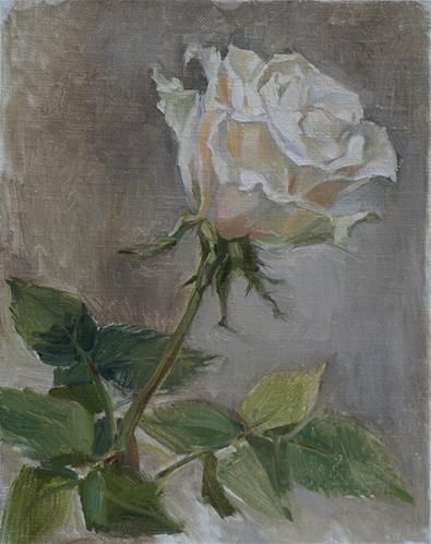 White Rose Reference, White Rose Watercolor Painting, White Rose Painting Easy, White Rose Painting Acrylic, White Roses Drawing, White Rose Drawing, White Roses Art, White Roses Painting, White Rose Painting