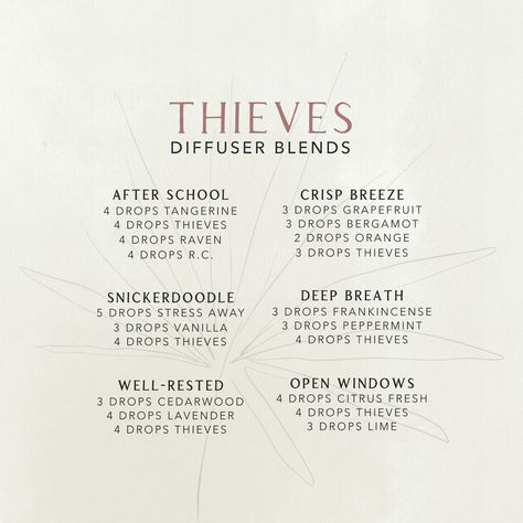 Essential Oil Blends With Thieves, Thieves And Peppermint Diffuser Blend, Diffuser Blends Thieves, Revive Essential Oil Diffuser Blends, Thieves Diffuser Recipes, Theives Oil Diffuser Recipes, Thieves Diffuser Blend Immune System, Young Living Diffuser Blends For Colds, Thieves Blends For Diffuser