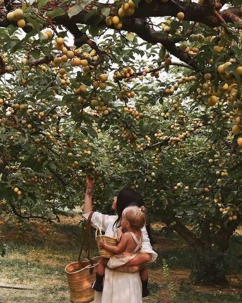 Traveling With Kids Aesthetic, Garden Family Photos, Lev Livet, Babymoon, Family Goals, Apple Tree, Vintage Vogue, Foto Inspiration, Future Life