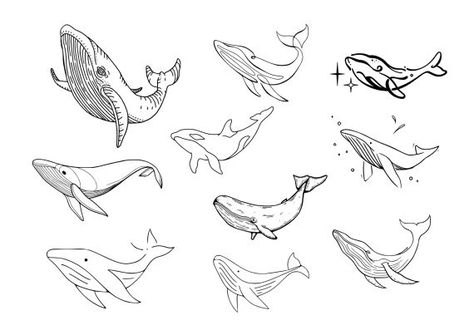 Whale Tattoo Set Vector (EPS, SVG) Small Humpback Whale Tattoo, Cute Whale Tattoo, Fine Line Whale Tattoo, Tiny Whale Tattoo, Sea Creature Tattoo, Whale Tail Tattoo, Humpback Whale Tattoo, Tattoo Whale, Koala Tattoo