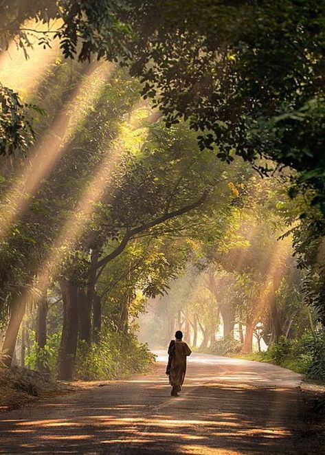 A beautiful view of Bangladesh. Nature Village, Bangladesh Travel, Rural Photography, Earth Photography, City Life Photography, Village Photos, Photography Competition, Sun Rising, Village Photography