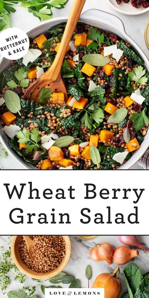 Wheat Berry Salad Recipes, Roasted Butternut Squash Cubes, Wheat Berry Recipes, Berry Salad Recipe, Wheat Berry Salad, Roasted Shallots, Wheat Berry, Autumn Salad Recipes, Berry Salad