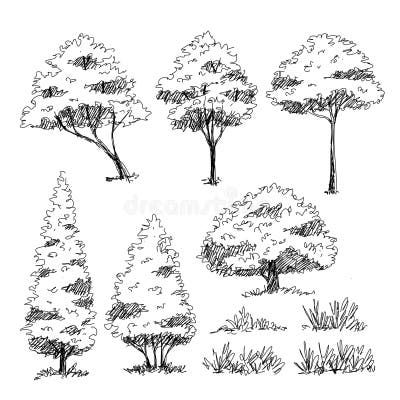 Trees Sketch, Architectural Trees, Tree Drawing Simple, Plant Sketches, Tree Sketch, Tree Drawings Pencil, Architectural Illustration, Illustration Landscape, Landscape Design Drawings