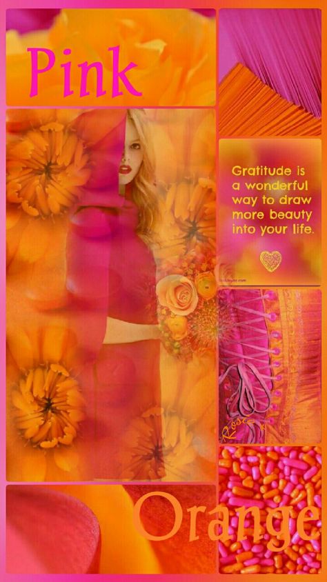 by Rosie* Orange Palette, Color Schemes Colour Palettes, Color Trends Fashion, Color Collage, Color Me Beautiful, Beautiful Collage, Rose Orange, Design Seeds, Color Harmony