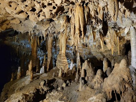 Florida Caverns State Park, Cave Entrance, Northern Florida, Mammoth Cave, Florida State Parks, Carlsbad Caverns, Cave Tours, Family Outings, Cave In