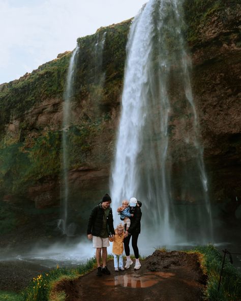 Flying The Nest | Chasing waterfalls in Iceland ✨ After spending a week camping through Iceland years ago we are SO excited to be back & sharing one of our… | Instagram Waterfalls In Iceland, Flying The Nest, Iceland Waterfalls, Chasing Waterfalls, The Nest, Iceland, So Excited, Camping, Instagram