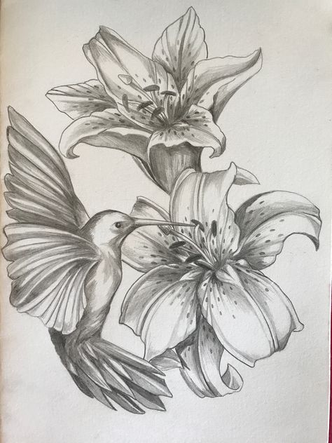 Hummingbird and Tiger Lily Humming Bird With Flowers Drawing, Lilies And Hummingbirds Tattoo, Tiger Flower Drawing, Hummingbird Flower Drawing, Hummingbird Tiger Lily Tattoo, Hummingbird Tattoo With Lilies, Lily Flower With Hummingbird Tattoo, Roses And Hummingbird Tattoo, Hummingbird Tattoo With Flowers Color