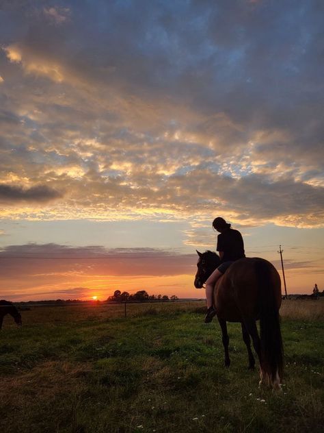 Pony Horse Riding Aesthetic, Country Sunset, Spring Horse, Western Photo, Equestrian Aesthetic, Horse Riding Equestrian, Horse Wallpaper, Horse Aesthetic, Brown Horse