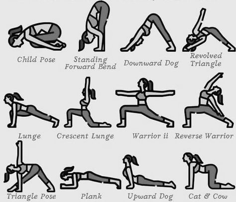 Morning Stretches Before School, Good Morning Excersize, Morning Routine Drawing, Morning Routine With Dog, Stretches Routine, Morning Stretch Routine, College Morning Routine, Morning Stretches Routine, Daily Stretching Routine