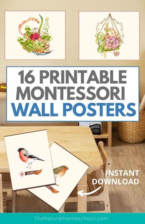 Montessori Classroom Wall Decor Ideas, Montessori Classroom Decor, Montessori Wall Art, Montessori Shelf, Montessori Environment, Wall Decoration Ideas, Homeschool Tips, Homeschool Room, How To Start Homeschooling