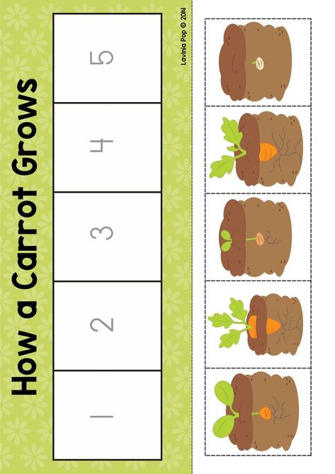 Apps Development PinWire: Spring Math Centers for Kindergarten | School Projects | Kindergarten ... 21 mins ago - Spring Math Centers for Kindergarten. How a carrot grows sequencing activity.  Source:www.pinterest.com Results By RobinsPost Via Google Flower Life Cycle Preschool, Plant Life Cycle Worksheet, Math Centers For Kindergarten, Sequencing Activities Kindergarten, Plant Lessons, Centers For Kindergarten, Preschool Garden, Plant Activities, Spring Math