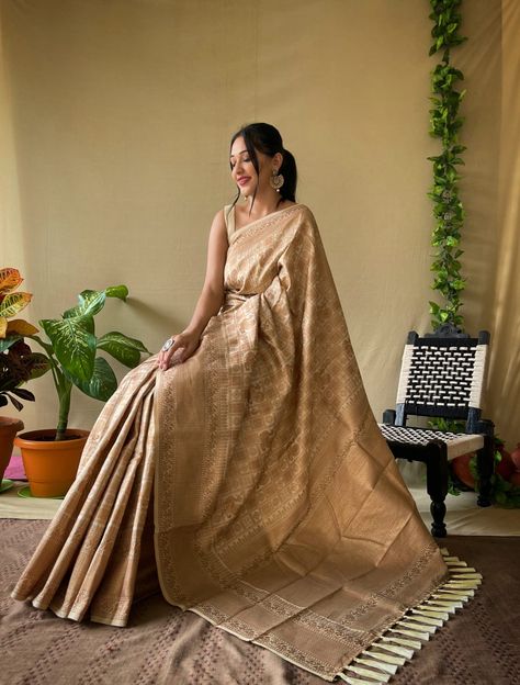 Formal Saree, Western Dresses For Women, Wedding Lehenga Designs, Maxi Dress Designs, Modern Saree, Saree Poses, Traditional Indian Dress, Style Guru, Desi Fashion Casual