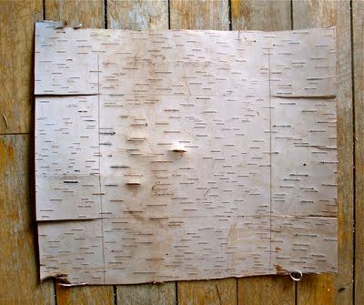 Birch Bark Crafts Diy, Bark Idea, Basket Template, Aboriginal Art For Kids, Bark Crafts, Bark Fabric, Birch Bark Crafts, Birch Bark Baskets, Birch Craft