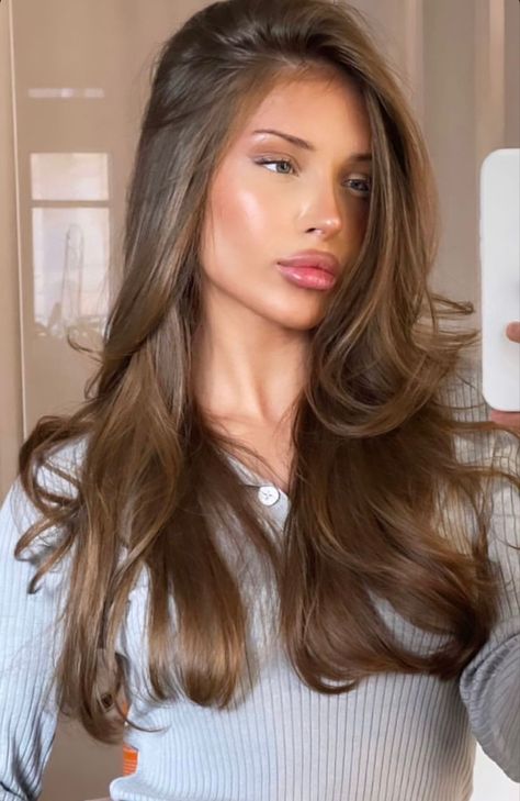 Old Money Brown Balayage, Hair Colour Ideas For Pale Skin Brown Eyes, Solid Honey Brown Hair, Rich Medium Brown Hair, Light Cool Tone Brown Hair, Light Brown Beige Hair, Light Brown Hair Solid Color, Blue Eyes Hair Color, Old Money Brunette Hair 2024