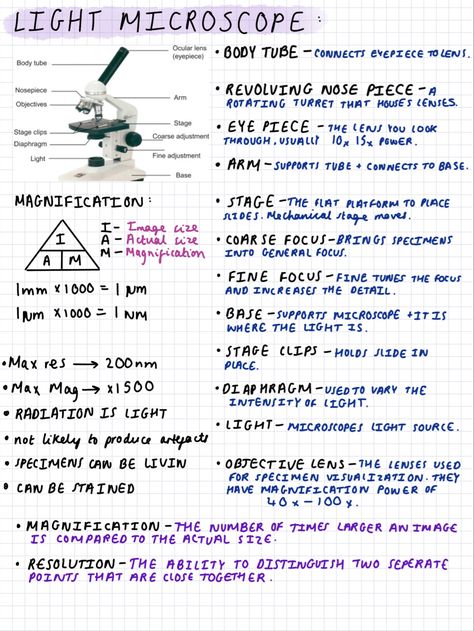 Revision notes for biology A level year one! I have lots more notes on here! Go check them out:) Microscope Notes Biology, Biology 2 Notes, Btec Applied Science Level 3, As Level Biology Notes, Gcse Science Revision Biology, Revision Notes Biology Alevel, Microbiology Study Note, Gcse Biology Revision Notes Edexcel, Alevel Bio Notes