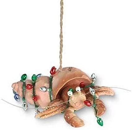 AmazonSmile: Cape Shore Beachy Coastal Holiday Hermit Crab Christmas Ornament : Home & Kitchen Crab Ornament, Nautical Christmas Ornaments, Resin Christmas, Beachy Christmas, Nautical Christmas, Coastal Holiday, Christmas Light Ornament, Hermit Crab, Coastal Christmas