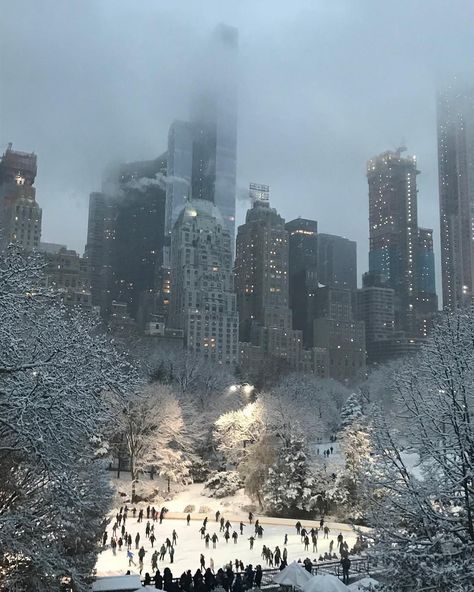 Lighting Stores in New York: The City Of Dreams Light Up For You Nyc Must Do Winter, Winter In Nyc Aesthetic, Nyc In Winter, Winter In Nyc, Ny Winter, Winter In The City, Christmas In Nyc, Christmas Nyc, Winter Nyc