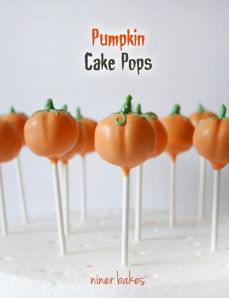 Halloween Pumpkin & Mummy Cake Pops by niner bakes, via Flickr Patch Birthday Party, Pumpkin Patch Birthday Party, Halloween Pumpkin Cake, Pumpkin Cake Pops, Pumpkin Patch Birthday, Postres Halloween, Halloween Cake Pops, Salty Cake, Cookie Pops