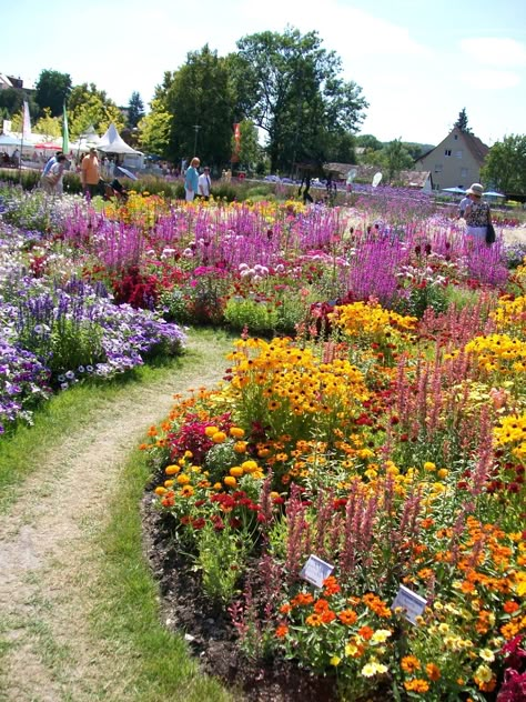 Chaos Flower Garden, Perinnals Flower Beds, Flower Garden Landscaping, Wild Flower Garden, Dream Garden Backyards, Backyard Flowers Garden, Backyard Flowers, Garden Vegetables, Fall Garden Vegetables