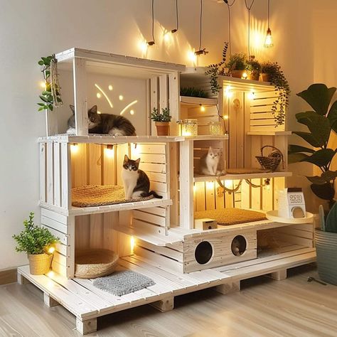 Cat Room Diy, Katt Hus, Cat Room Decor, Katt Grejer, Cat Patio, Diy Cat Tree, Eco Garden, Cat House Diy, Diy Cat Toys