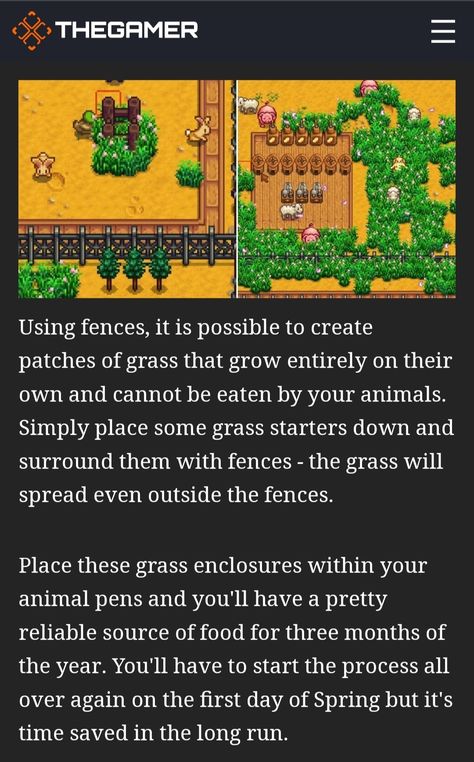 Stardew Valley Spouse Area, Stardew Valley Ostrich Egg, Stardew Tips, Stardew Farms, Stardew Valley Tips, Stardew Valley Layout, Stardew Valley Farms, Cozy Games, Stardew Valley