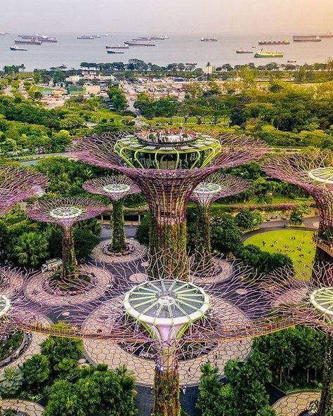 Supertree Grove, Paradise California, Photography Guidelines, Gardens By The Bay, Destination Voyage, Beach Paradise, Beautiful Buildings, South Of France, Travel Life