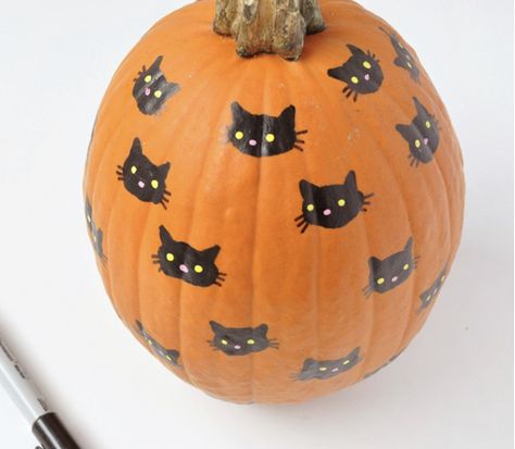 Halloween Cat Pumpkin Painting, Painted Pumpkins Easy Cute, Pet Pumpkin Decorating, Baby Pumpkin Designs, Pumpkin Painting Party Supplies, Painting Small White Pumpkins, Bats Painted On Pumpkin, Black Cat On Pumpkin Painting, Cat On Pumpkin Painting