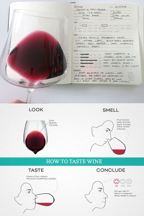 How To Taste Wine, Best Spring Break Destinations, Wine Chart, Grapes And Cheese, Wine Facts, Wine Sommelier, Wine Folly, Wine Knowledge, Spring Break Destinations