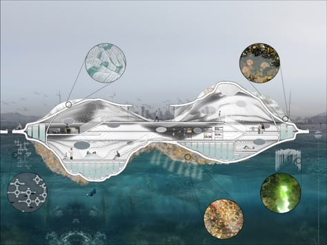 Float Lab designed to serve as "new kind of architecture for climate adaptation" Floating Architecture Concept, Marine Architecture, Underwater Architecture, Lab Architecture, Floating Structure, Sea Architecture, Ecology Projects, Climate Adaptation, Water Architecture