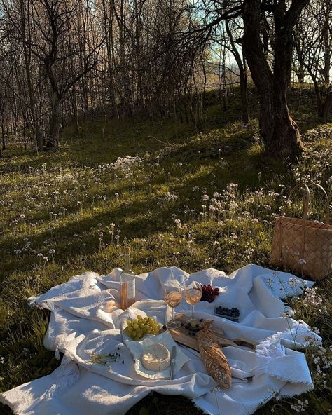 Drømme Liv, Picnic Inspiration, Theme Nature, Picnic Date, Fotografi Editorial, Cottage Core Aesthetic, After Life, Spring Aesthetic, Northern Italy