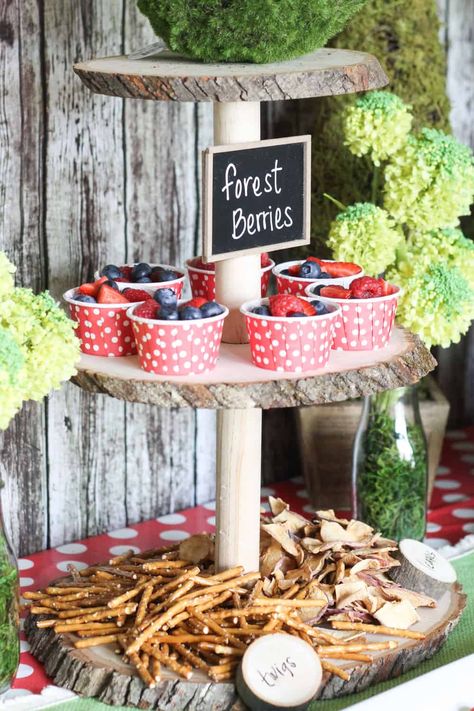 Woodland Themed Birthday Party Woodland Fairy Birthday, Enchanted Forest Birthday, Woodland Fairy Party, Forest Birthday Party, Hantverk Diy, Fairy Garden Birthday Party, Forest Birthday, Woodland Birthday Party, Forest Party