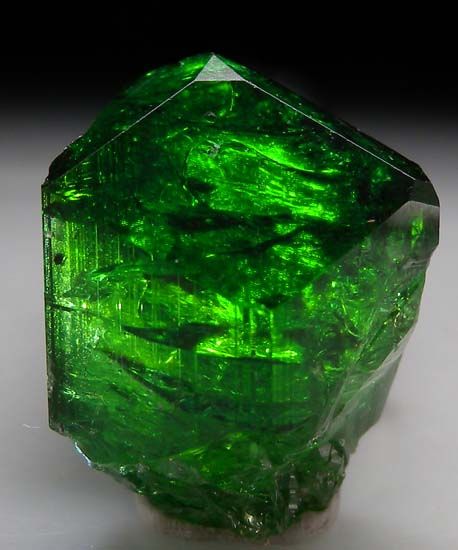 Chrome Tourmaline, Rock And Mineral, Beautiful Rocks, Mineral Stone, Minerals And Gemstones, Rocks And Gems, Green Crystal, Precious Gems, Raw Gemstones