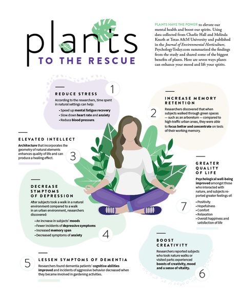 Plants to the rescue Permaculture, House Plant Journal Ideas, Horticultural Therapy Activities, Homestead Knowledge, Therapeutic Horticulture, Eco Therapy, Horticultural Therapy, Horticulture Therapy, Nature Camp